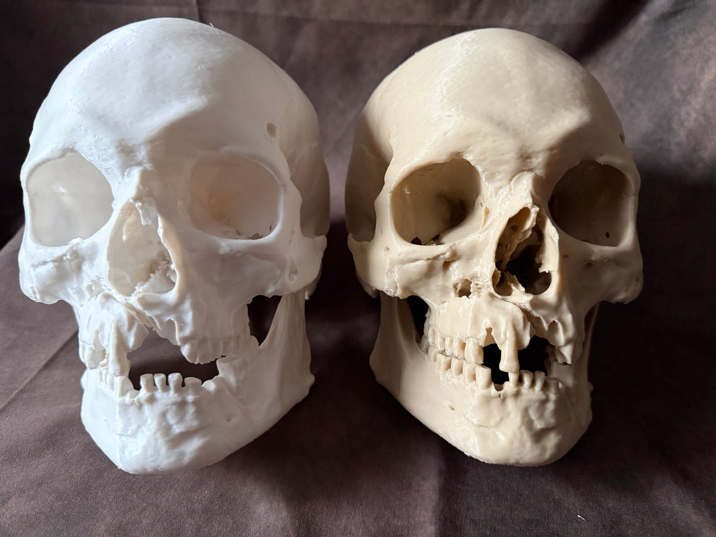 Battle Damaged Human Skull