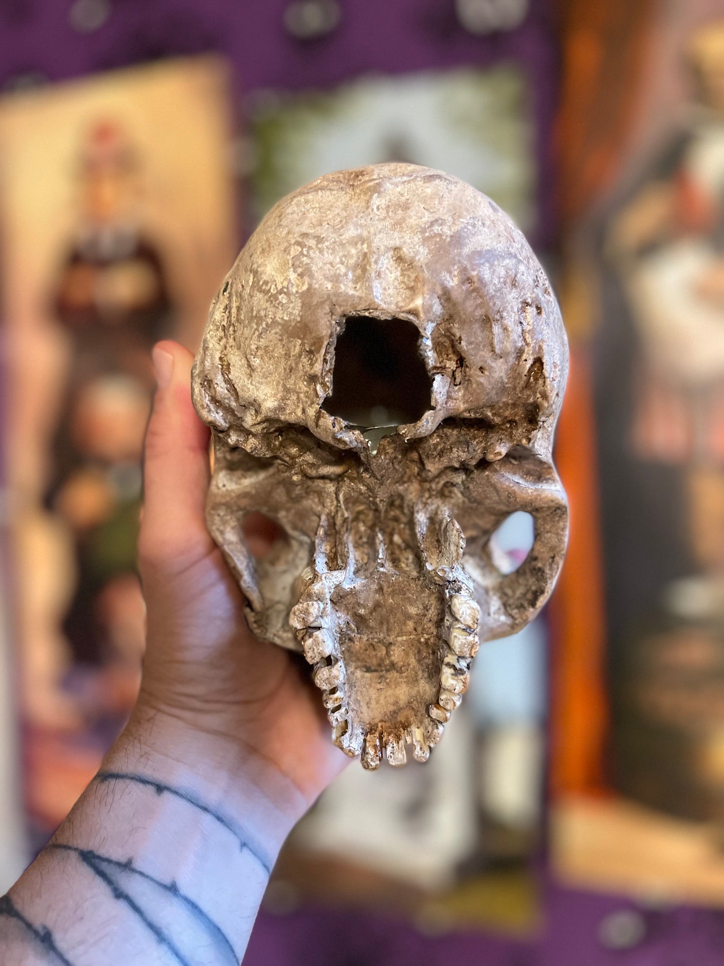 Human skull replica (Made to order)