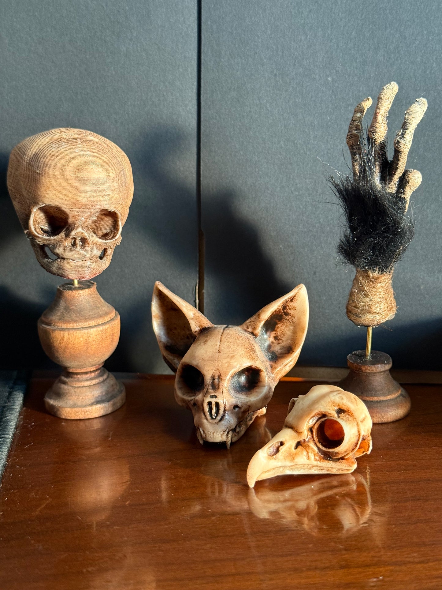 Cursed Monkey Paw for oddities & Curiosities cabinet