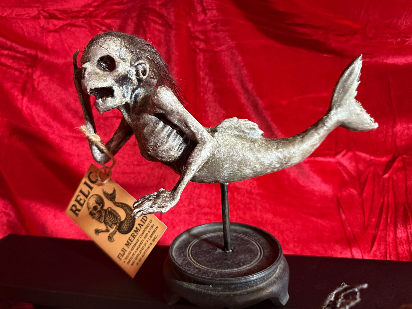 Fiji Mermaid for oddities and curiosities cabinet