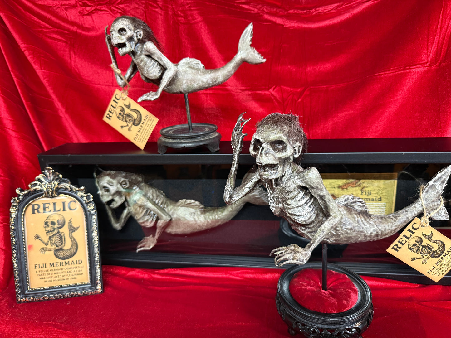 Fiji Mermaid for oddities and curiosities cabinet
