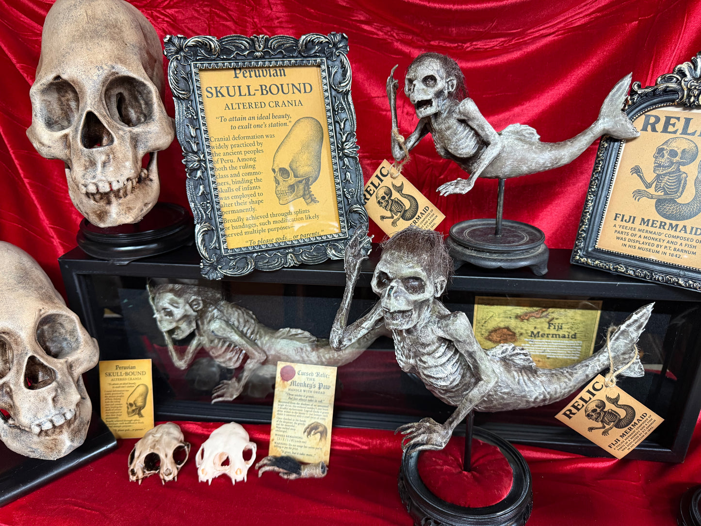 Fiji Mermaid for oddities and curiosities cabinet