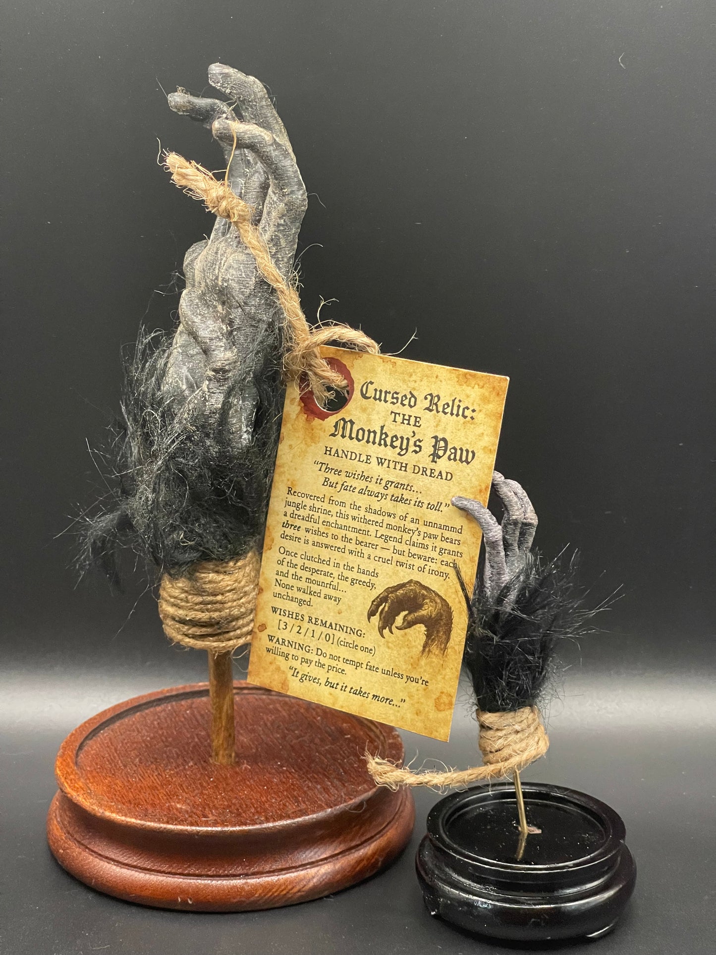 Cursed Monkey Paw for oddities & Curiosities cabinet