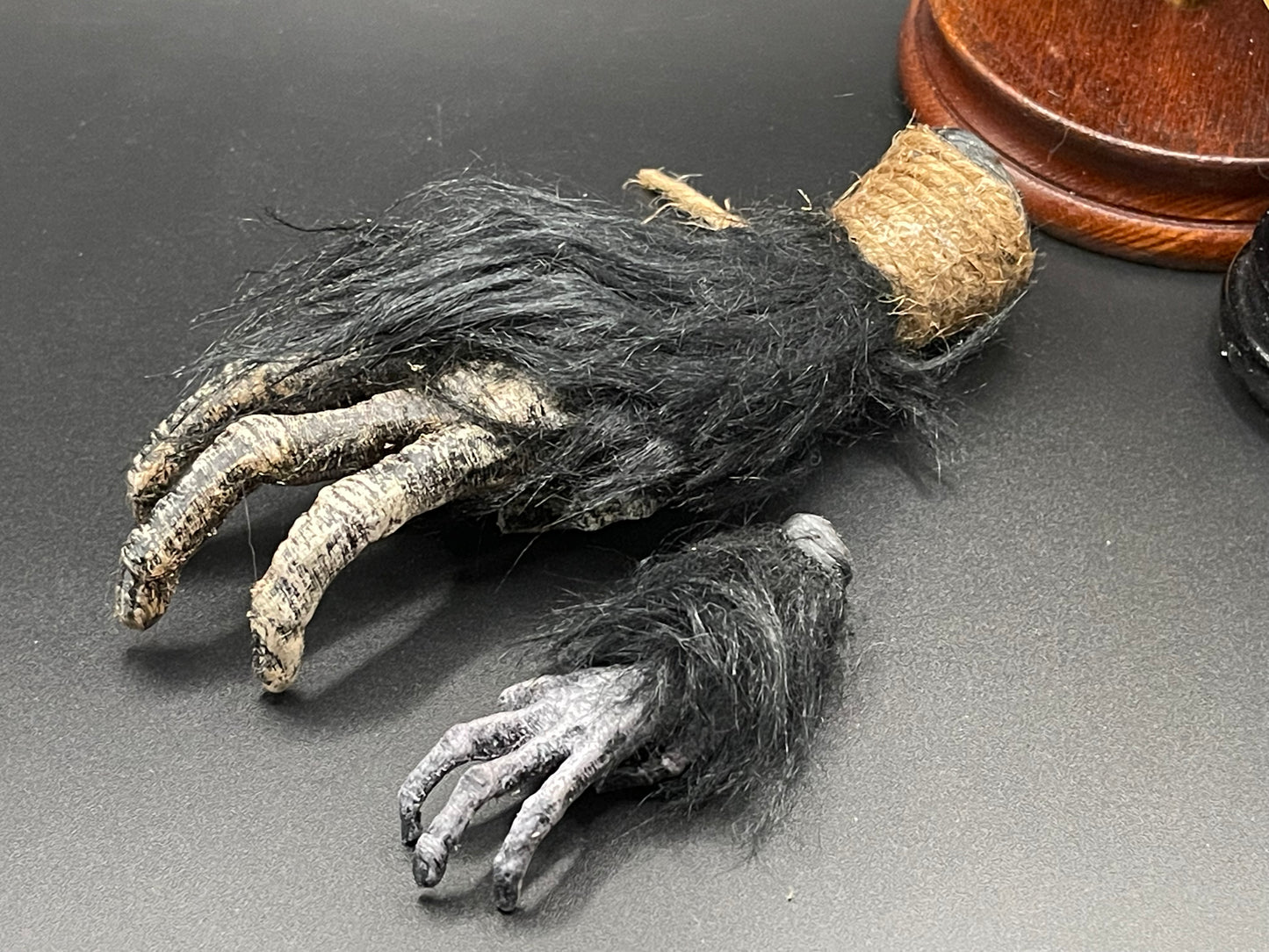 Cursed Monkey Paw for oddities & Curiosities cabinet