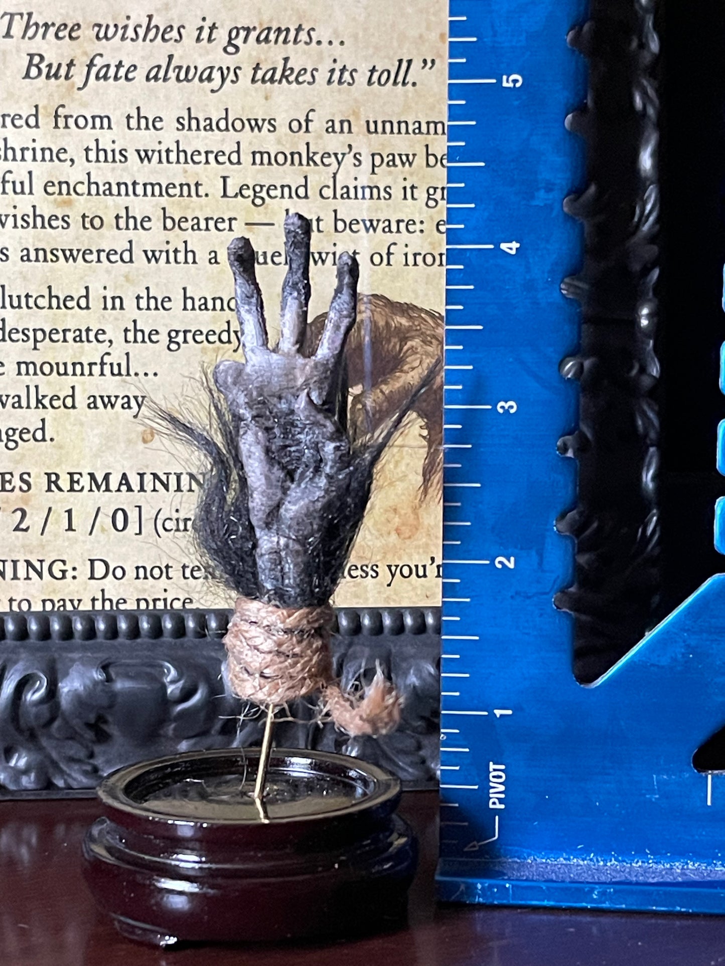 Cursed Monkey Paw for oddities & Curiosities cabinet