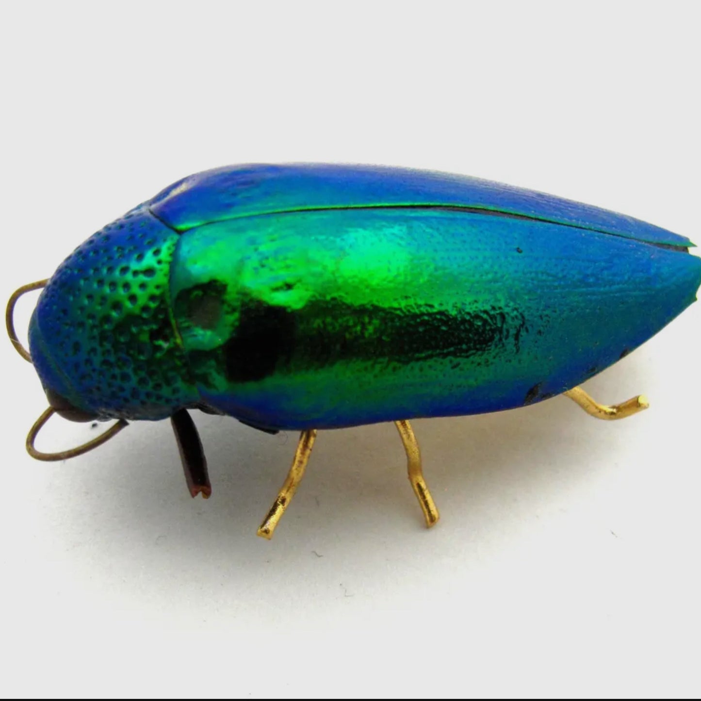 Real Emerald Beetle Pin