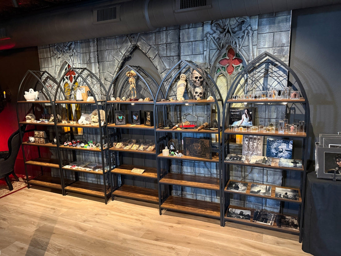 13th Mausoleum gothic product display inside The Curious Hippo in Hutto, Texas