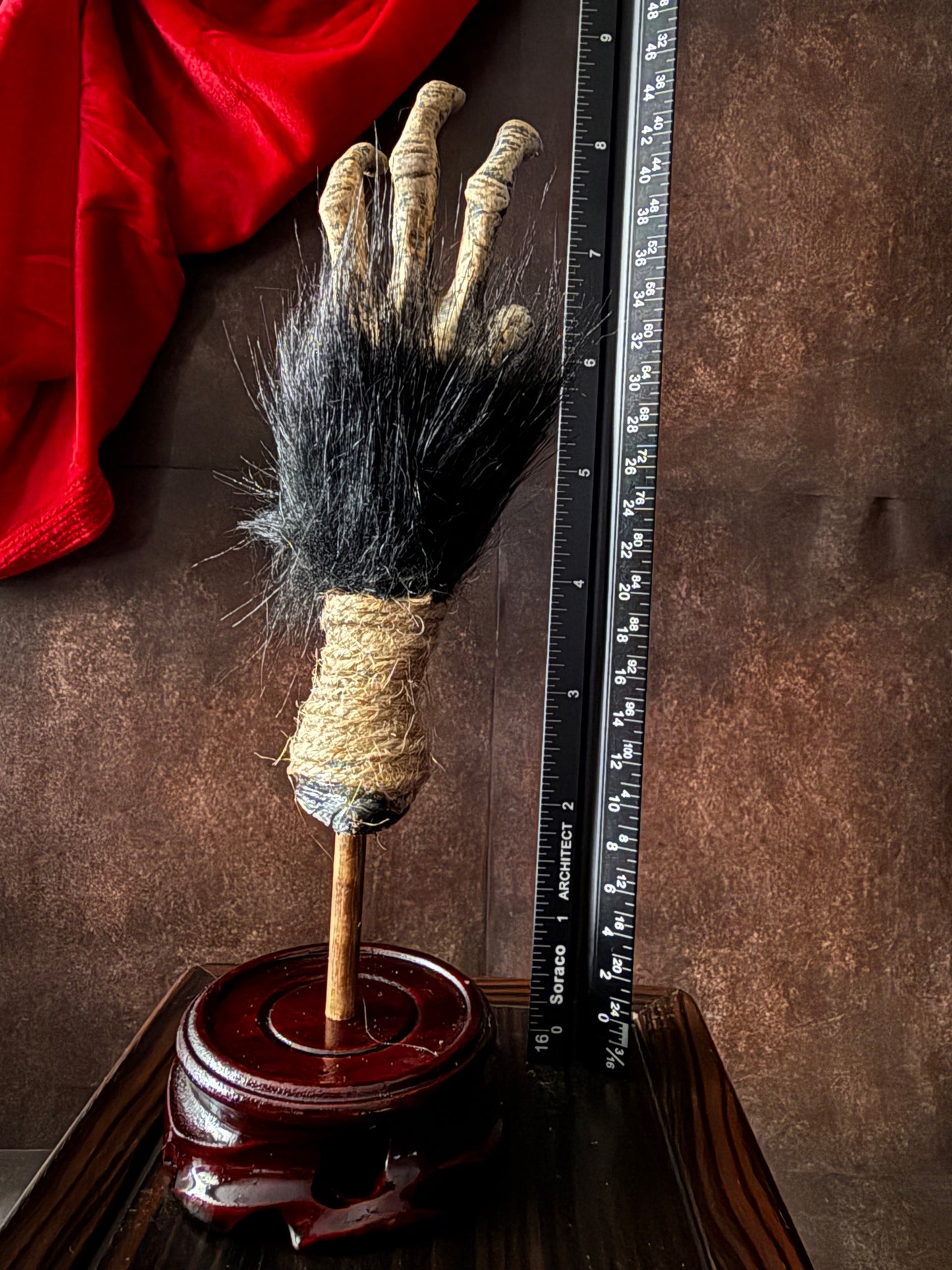 Cursed Monkey Paw for oddities & Curiosities cabinet Large Mounted