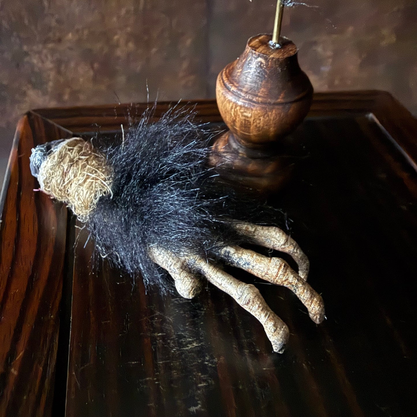 Cursed Monkey Paw for oddities & Curiosities cabinet Large
