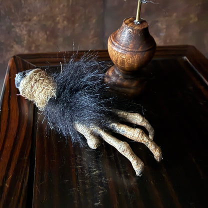 Cursed Monkey Paw for oddities & Curiosities cabinet Large