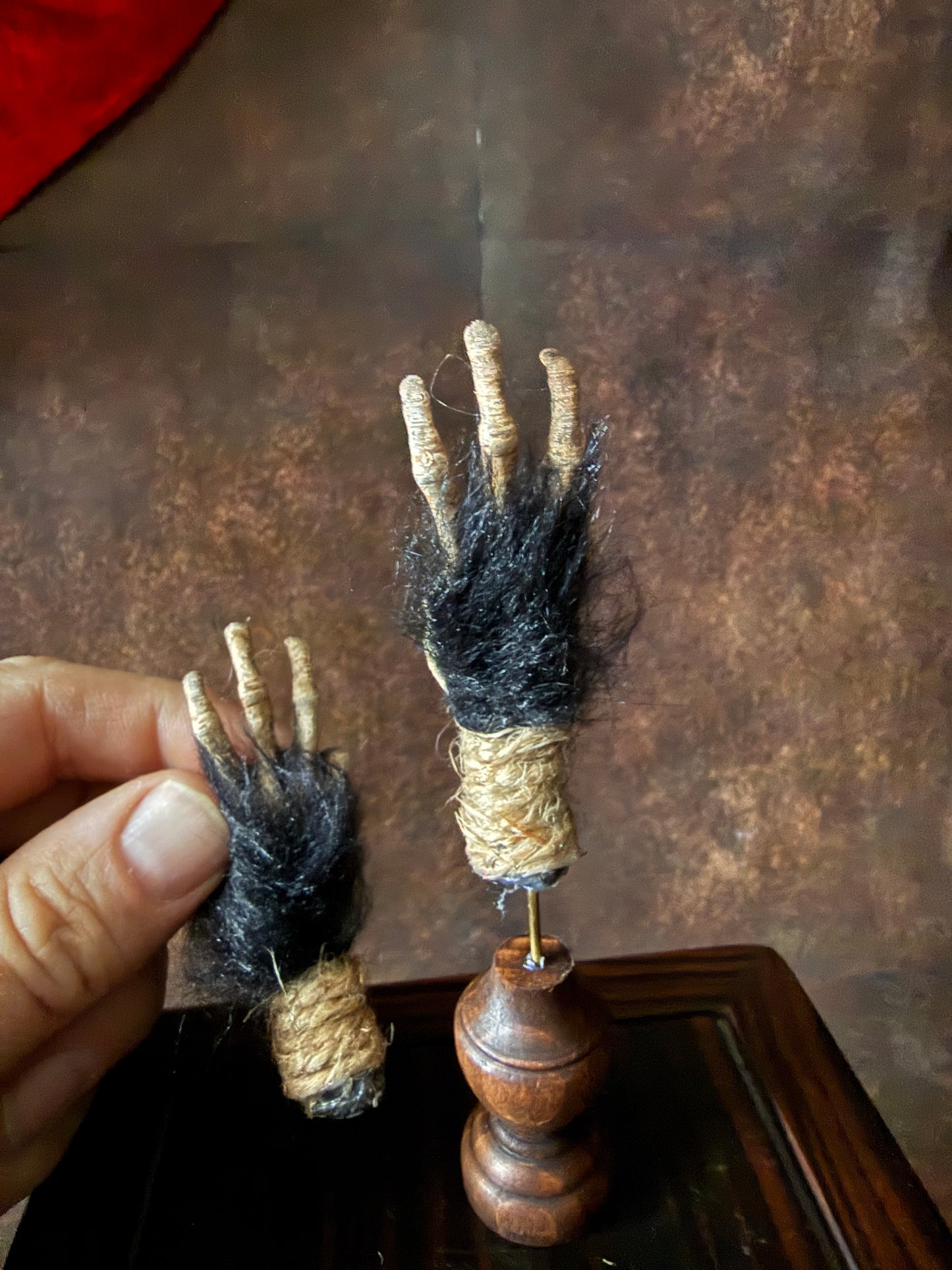 Cursed Monkey Paw for oddities & Curiosities cabinet