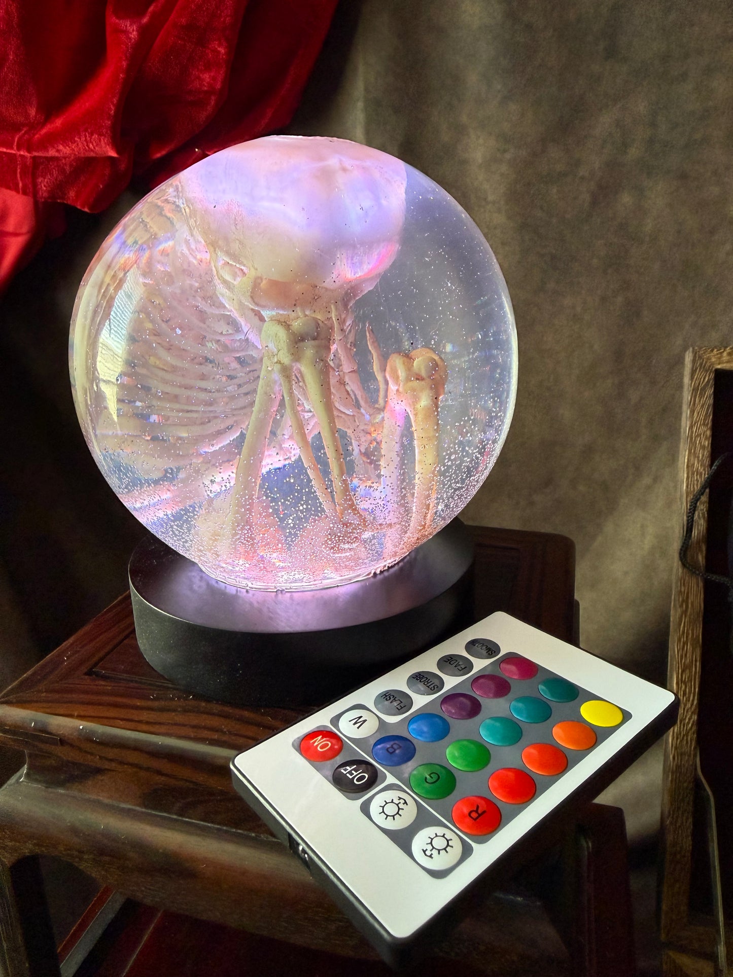 Fetal Skeleton Replica Dome – Creepy Curiosity, Gothic Anatomical Exhibit