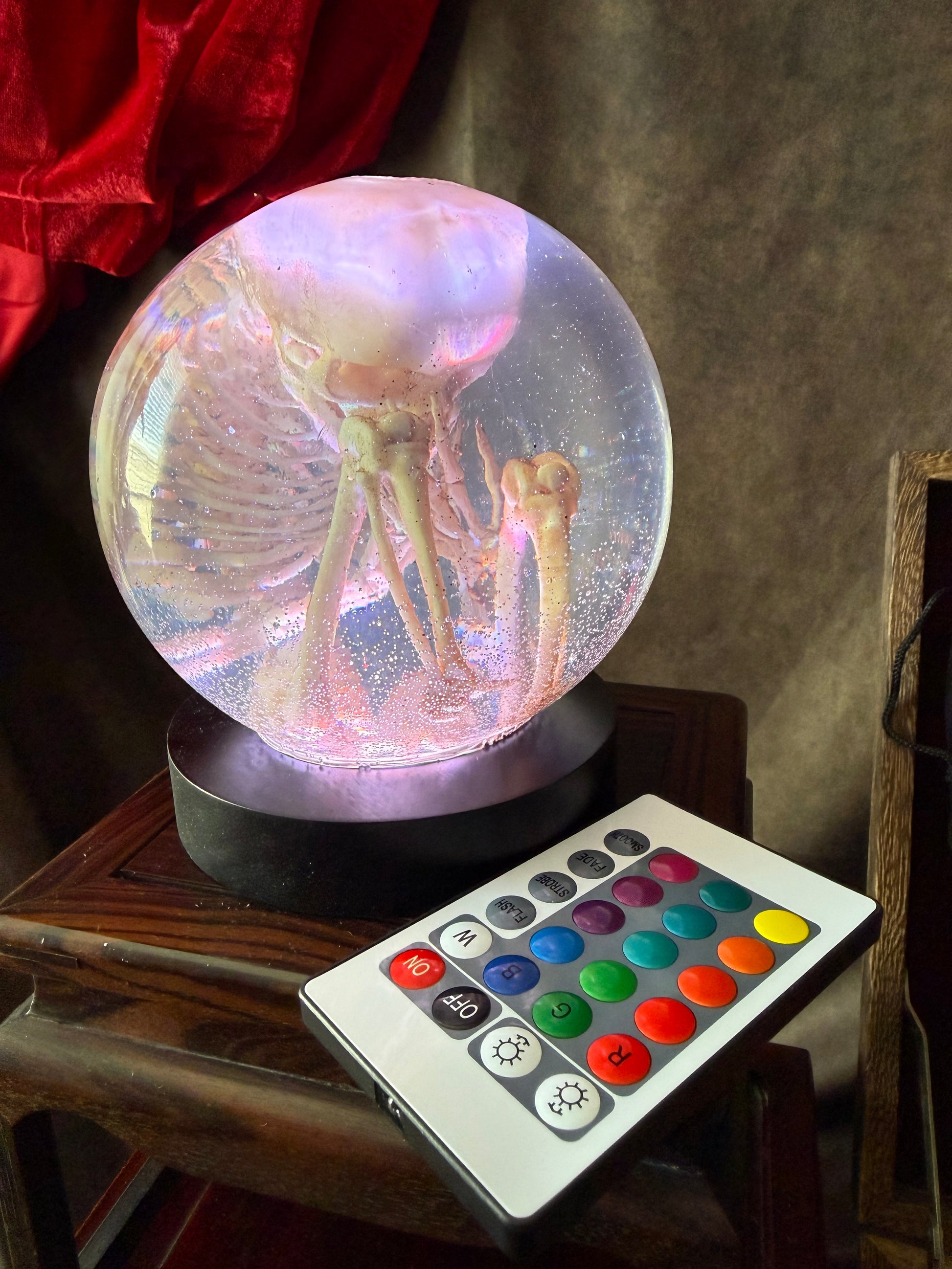 Fetal Skeleton Replica Dome – Creepy Curiosity, Gothic Anatomical Exhibit