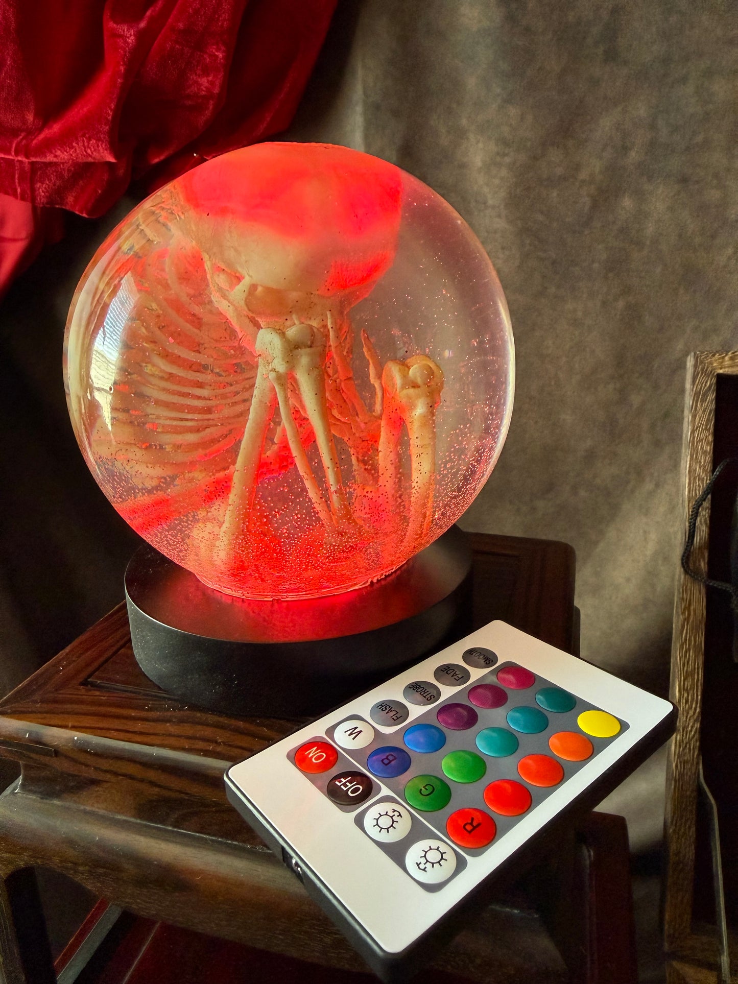 Fetal Skeleton Replica Dome – Creepy Curiosity, Gothic Anatomical Exhibit