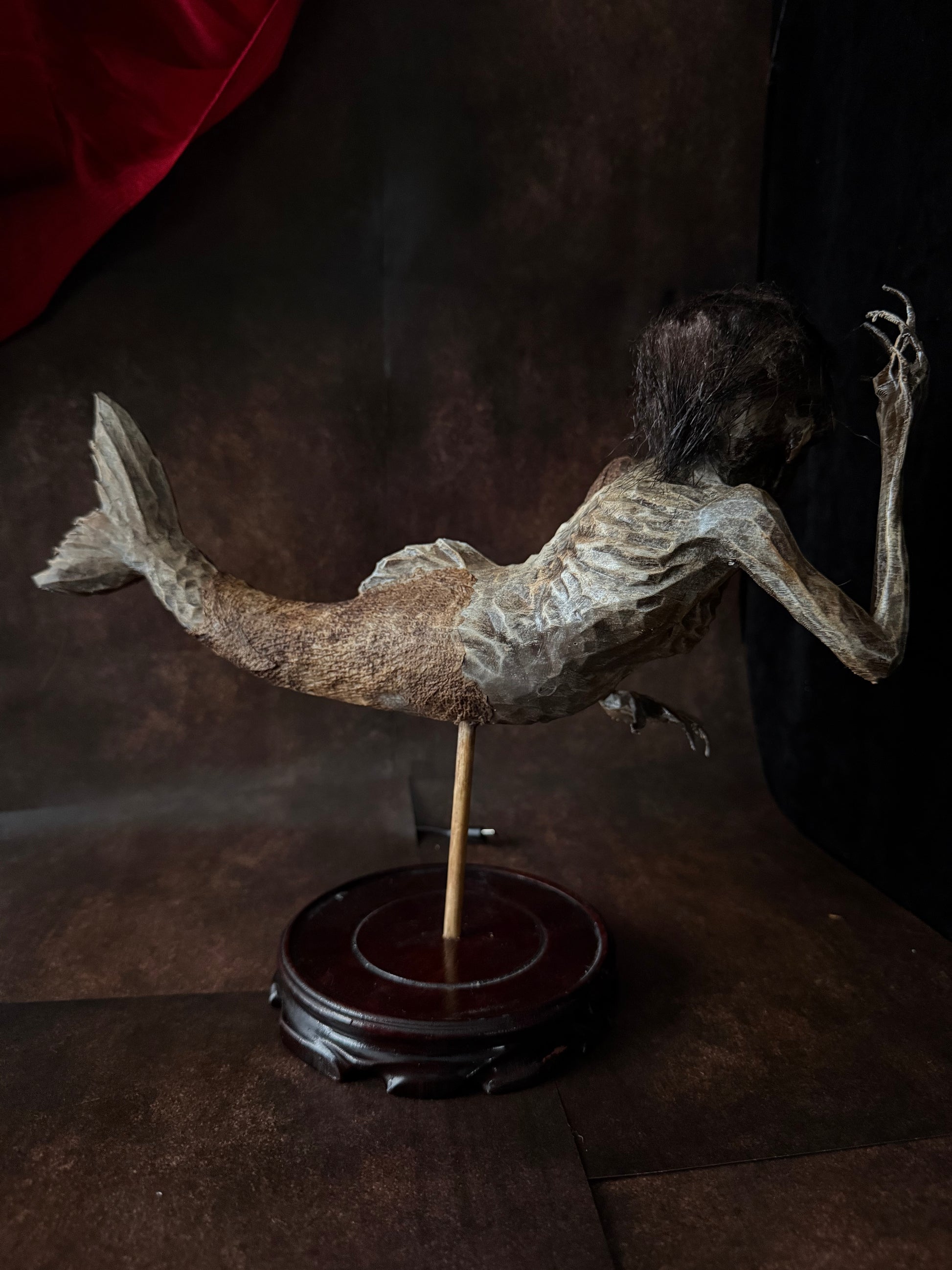 Fiji Mermaid for oddities and curiosities cabinet