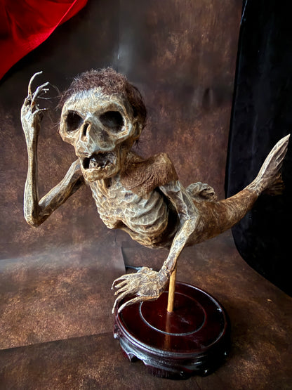 Fiji Mermaid for oddities and curiosities cabinet