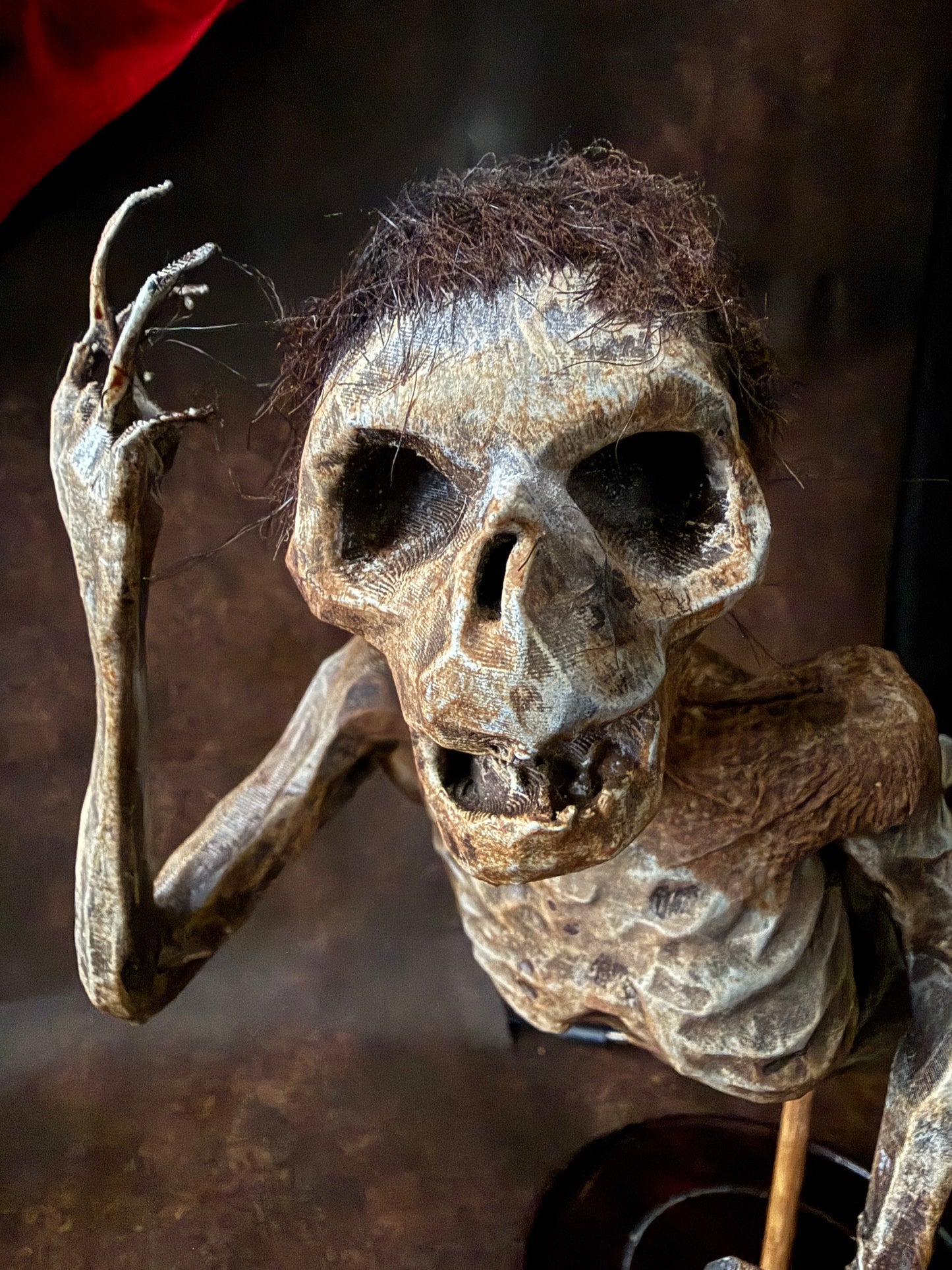 Fiji Mermaid for oddities and curiosities cabinet