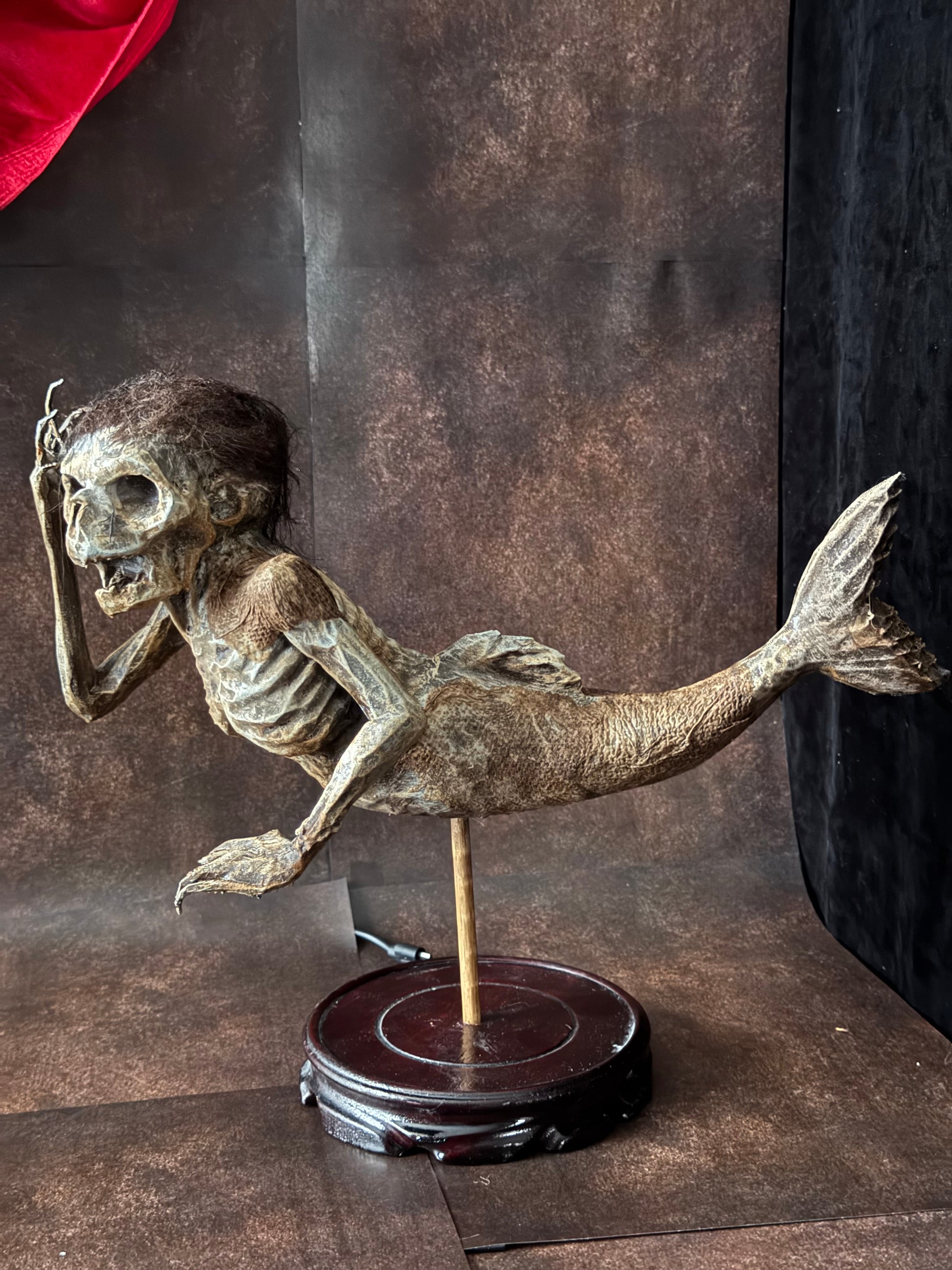 Fiji Mermaid for oddities and curiosities cabinet