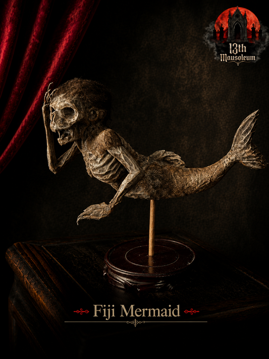 Fiji Mermaid for oddities and curiosities cabinet