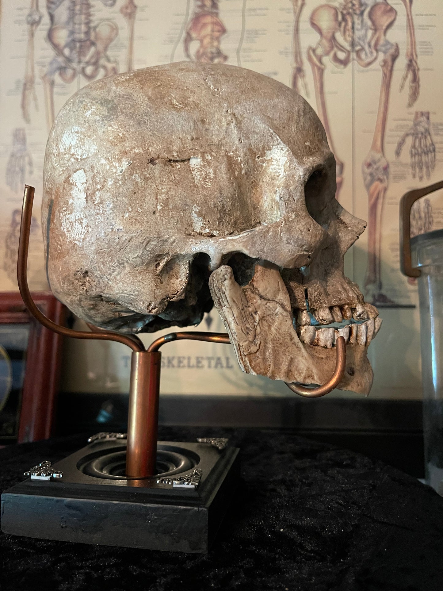 Human skull replica (Made to order)