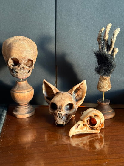 Cursed Monkey Paw for oddities & Curiosities cabinet