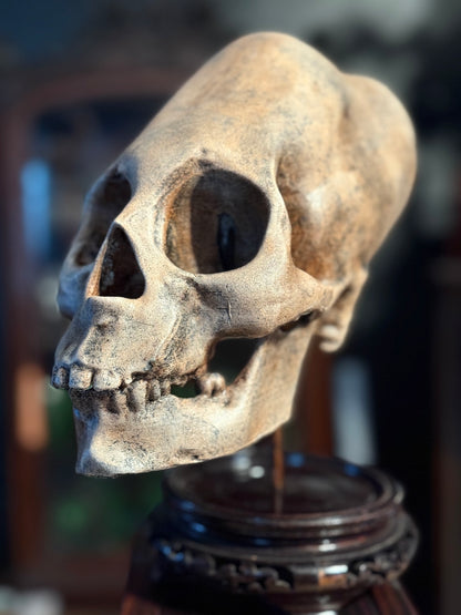 Peruvian skull