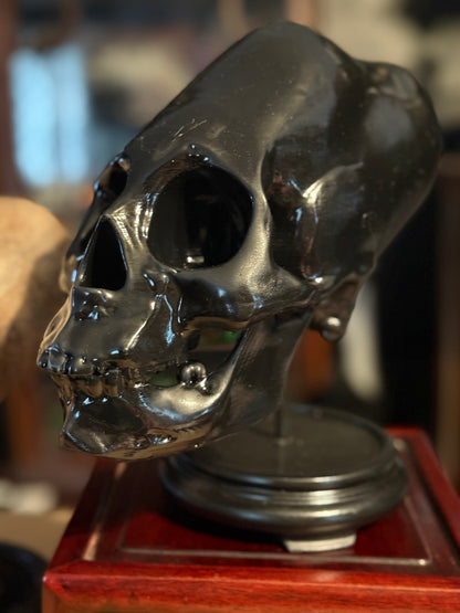 Peruvian skull