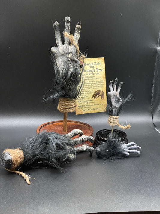 Cursed Monkey Paw for oddities & Curiosities cabinet