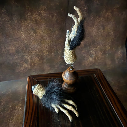 Cursed Monkey Paw for oddities & Curiosities cabinet