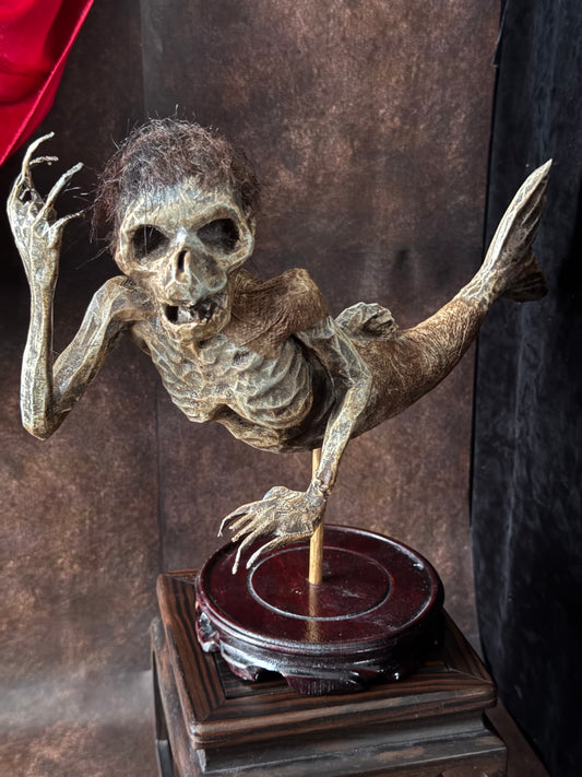 Fiji Mermaid for oddities and curiosities cabinet