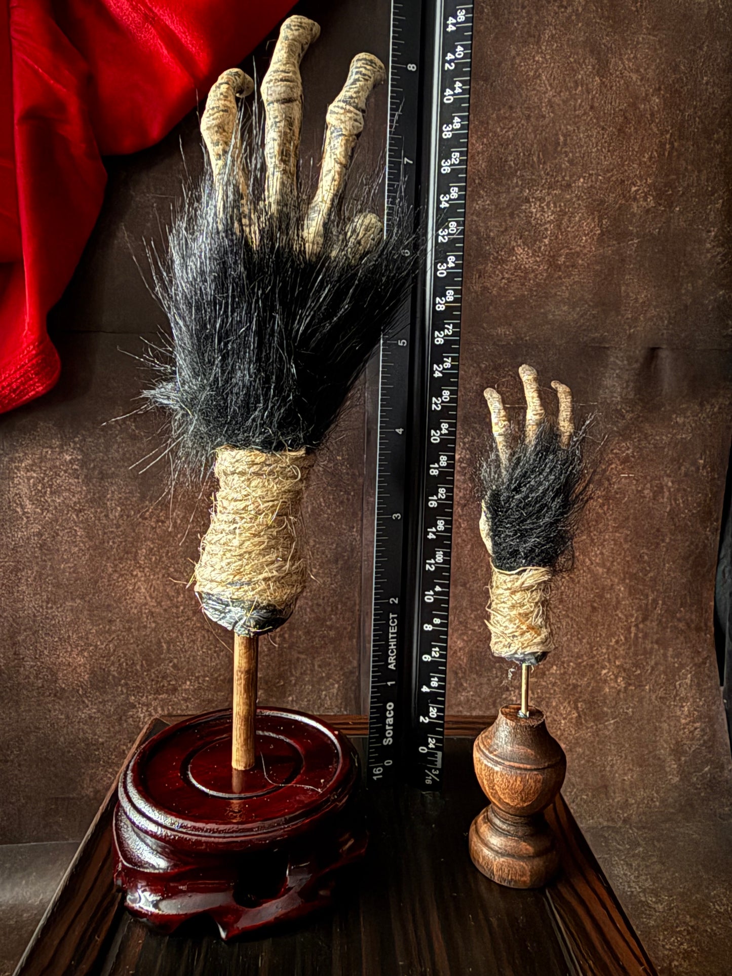 Cursed Monkey Paw for oddities & Curiosities cabinet