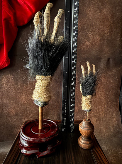 Cursed Monkey Paw for oddities & Curiosities cabinet