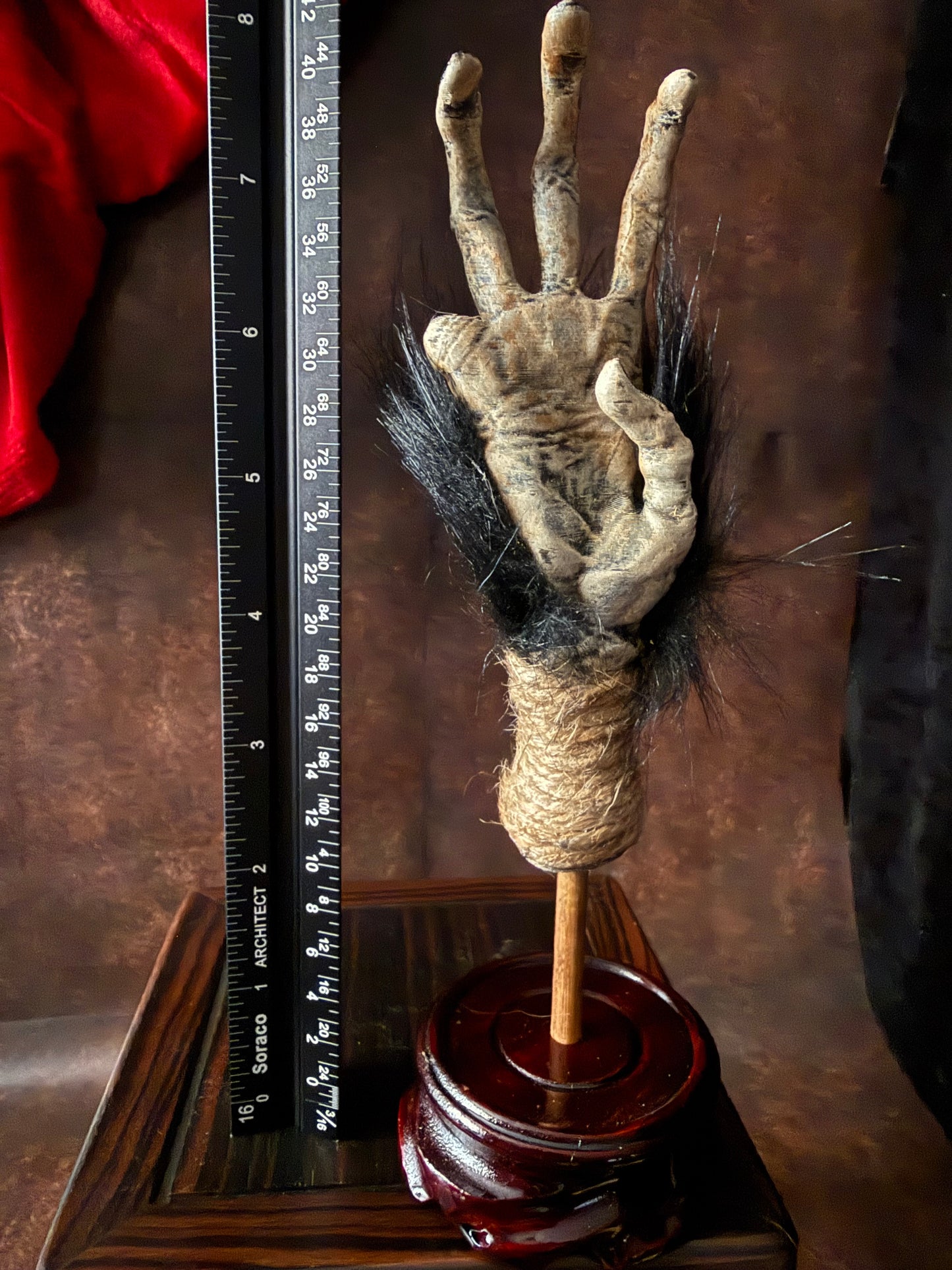 Cursed Monkey Paw for oddities & Curiosities cabinet
