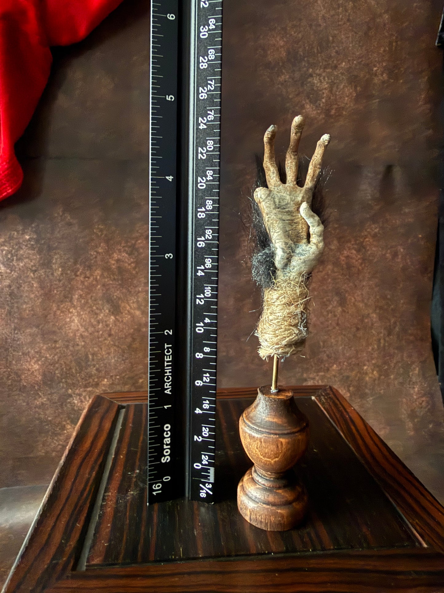 Cursed Monkey Paw for oddities & Curiosities cabinet