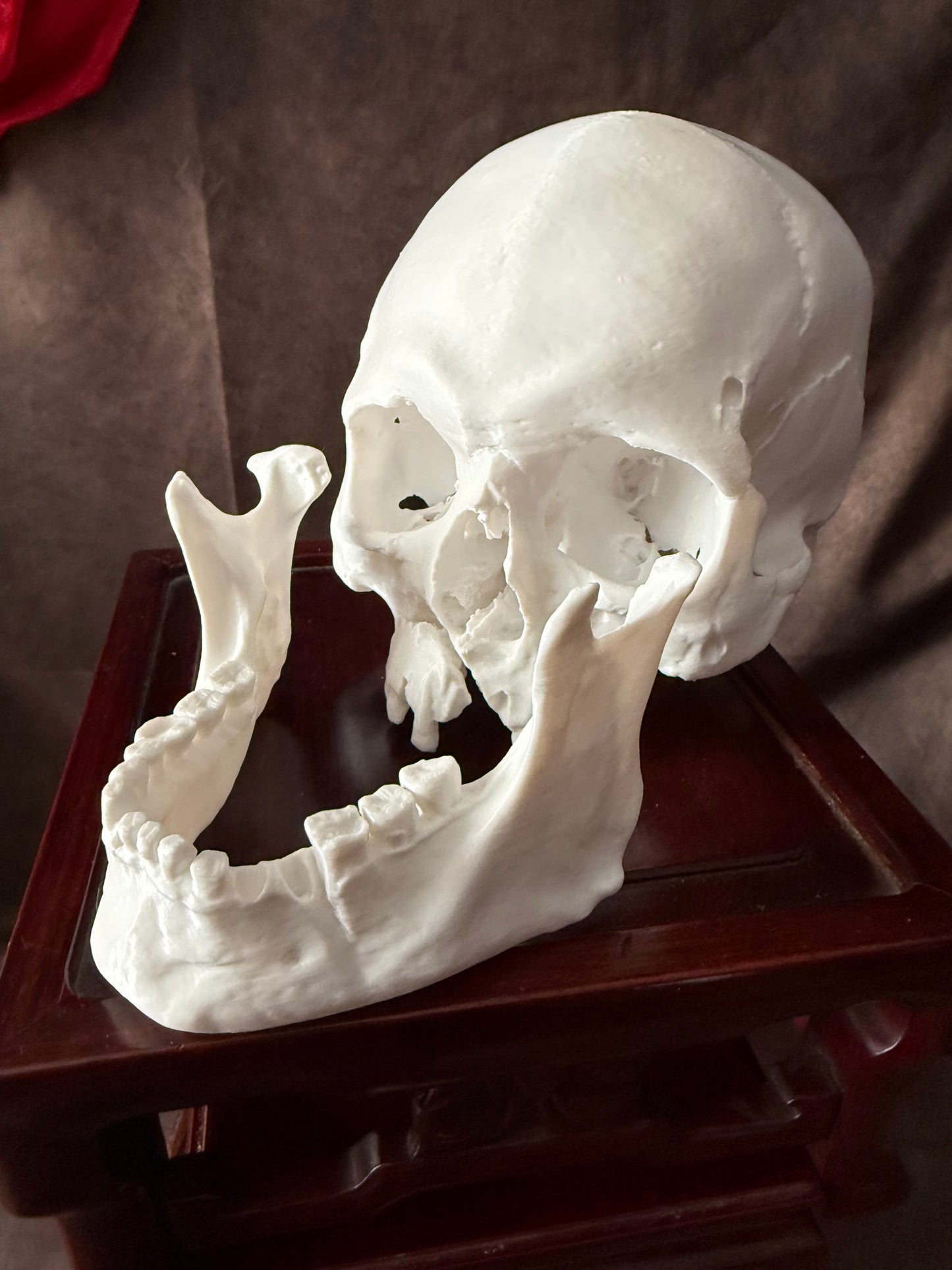 Battle Damaged Skull