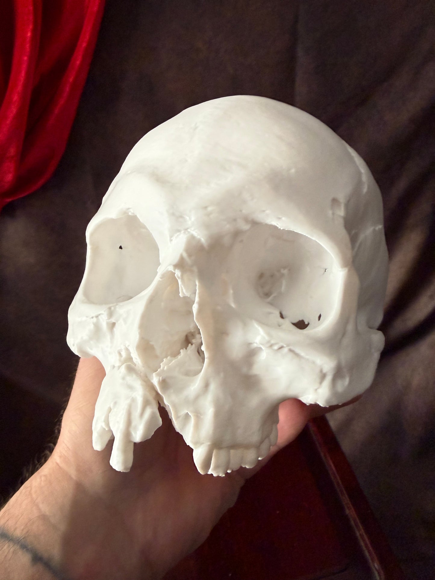 Battle Damaged Skull