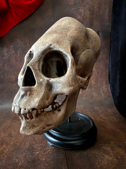 Peruvian skull replica