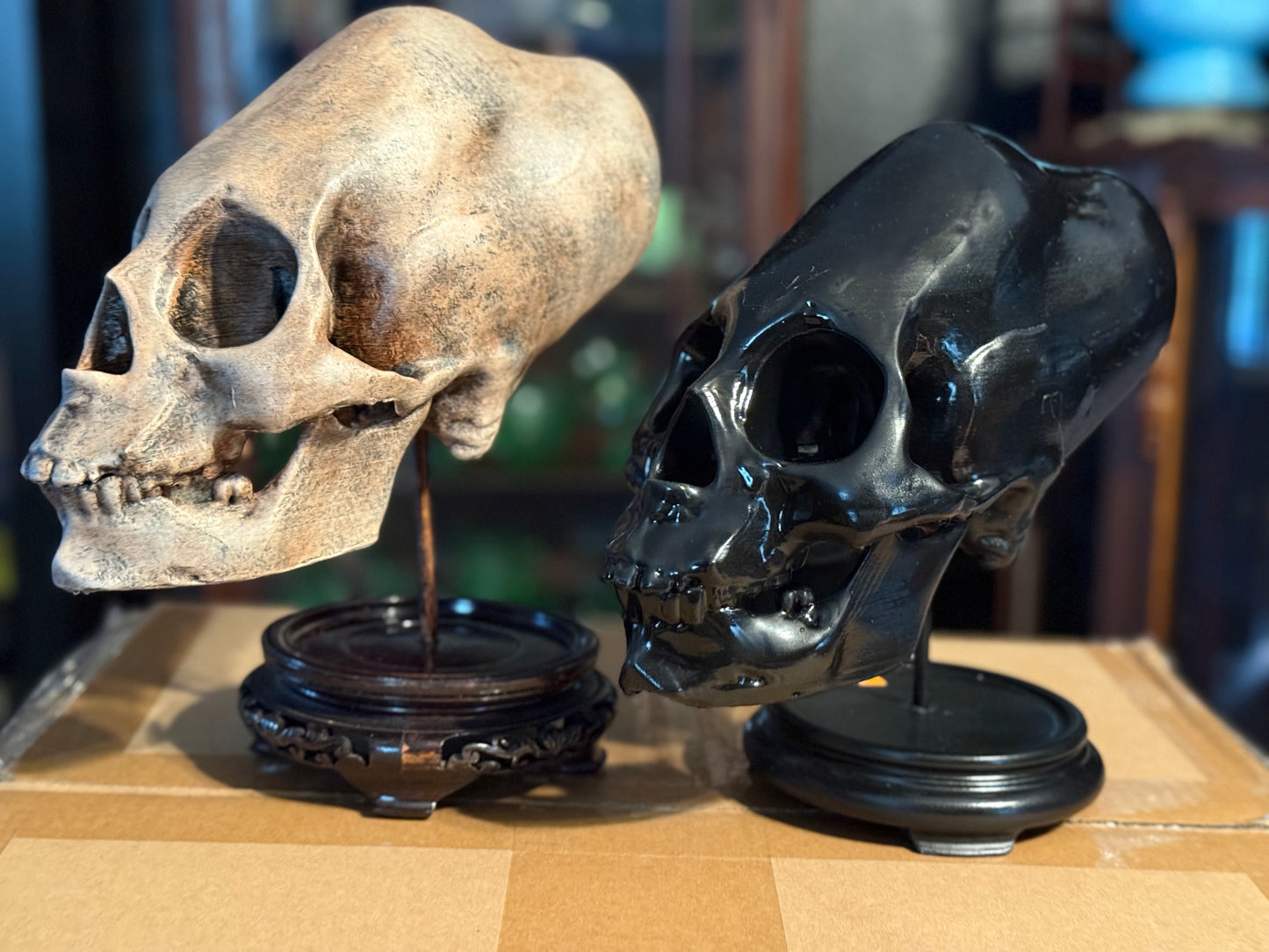Peruvian skull replica