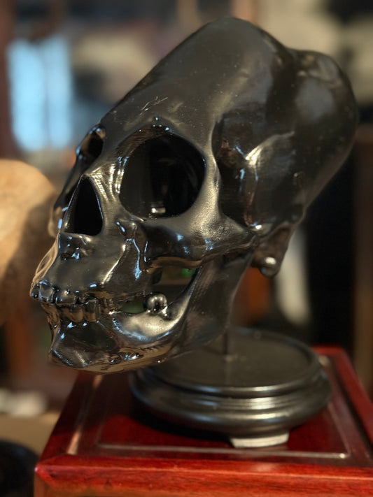 Peruvian-Inspired Elongated Skull Replica – Full Scale Large