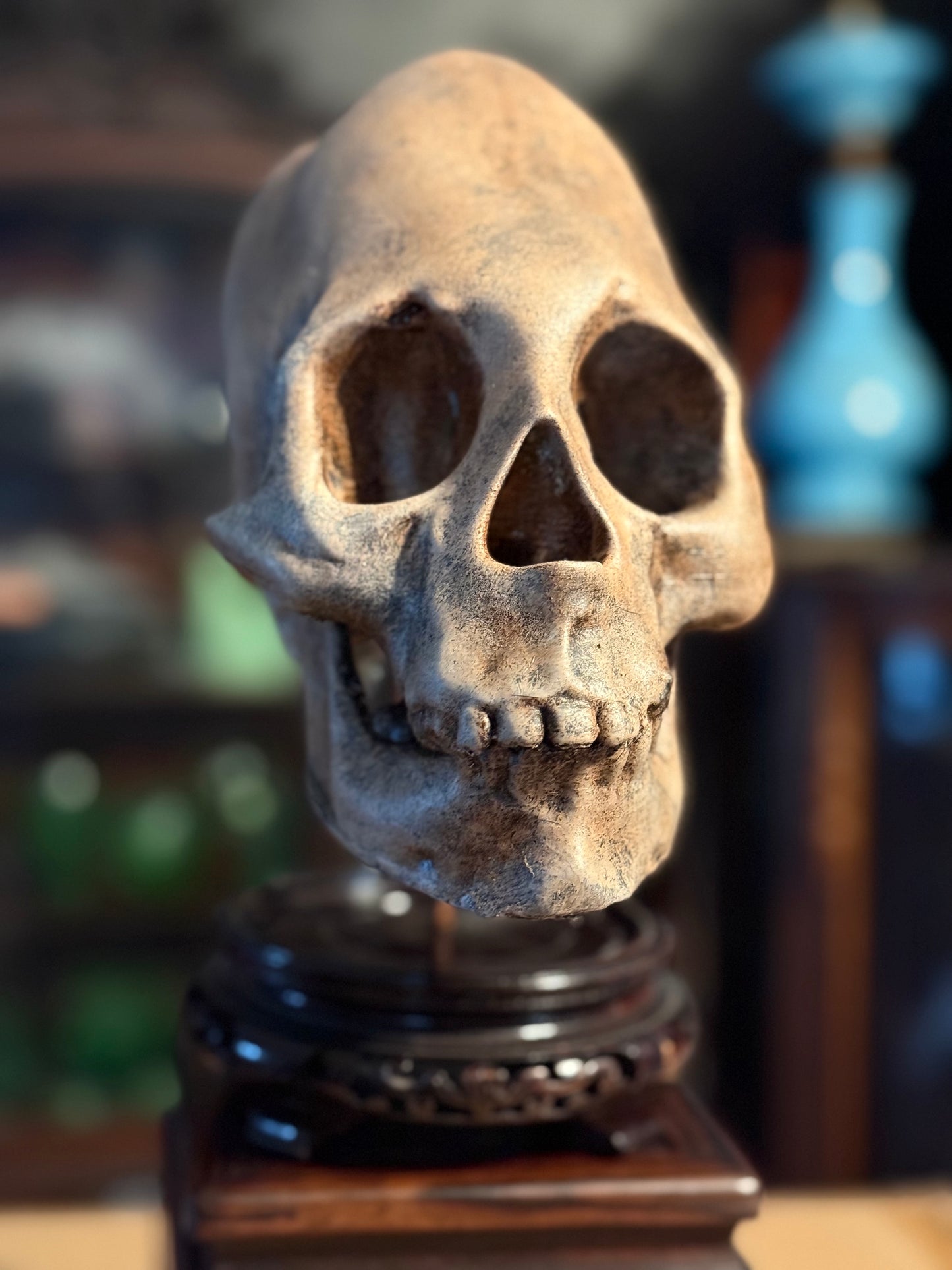Peruvian skull replica
