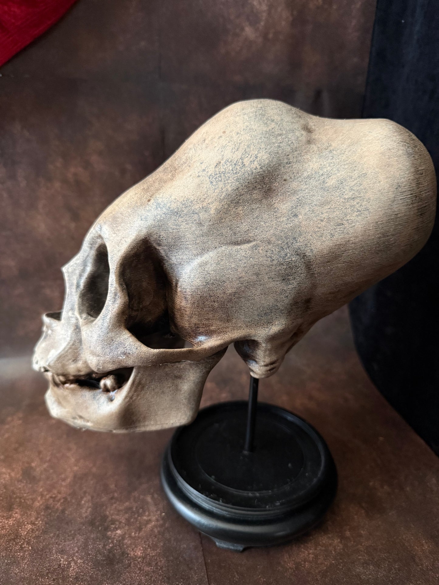 Peruvian skull replica