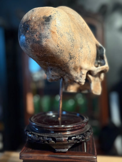 Peruvian skull replica