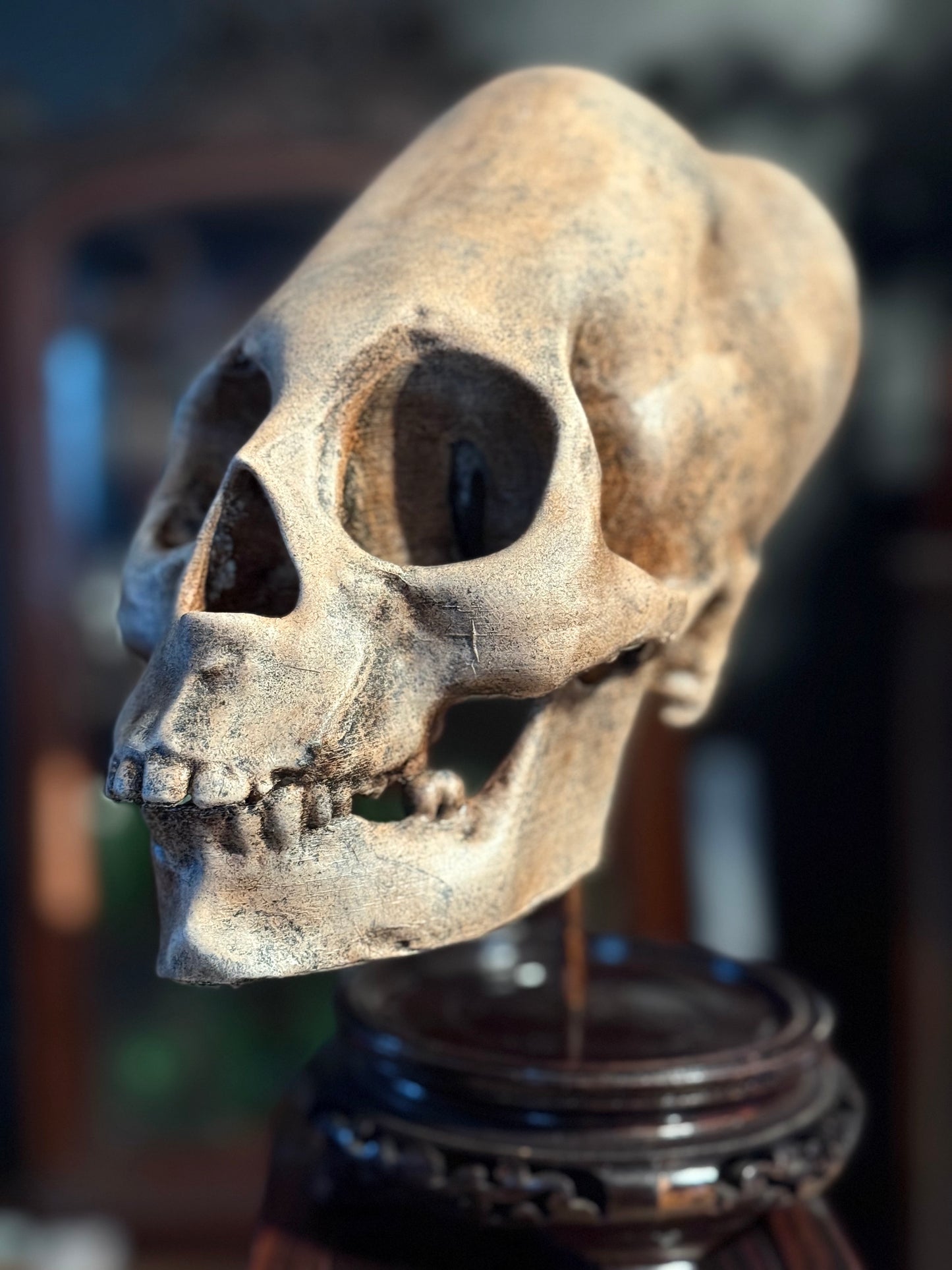 Peruvian skull replica