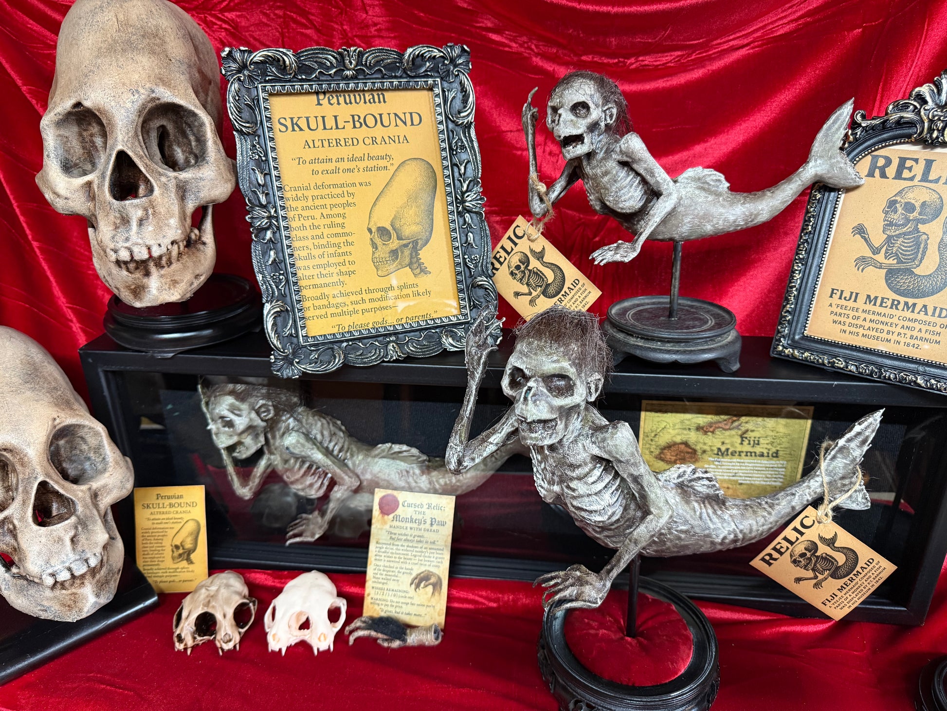 Peruvian skull replica