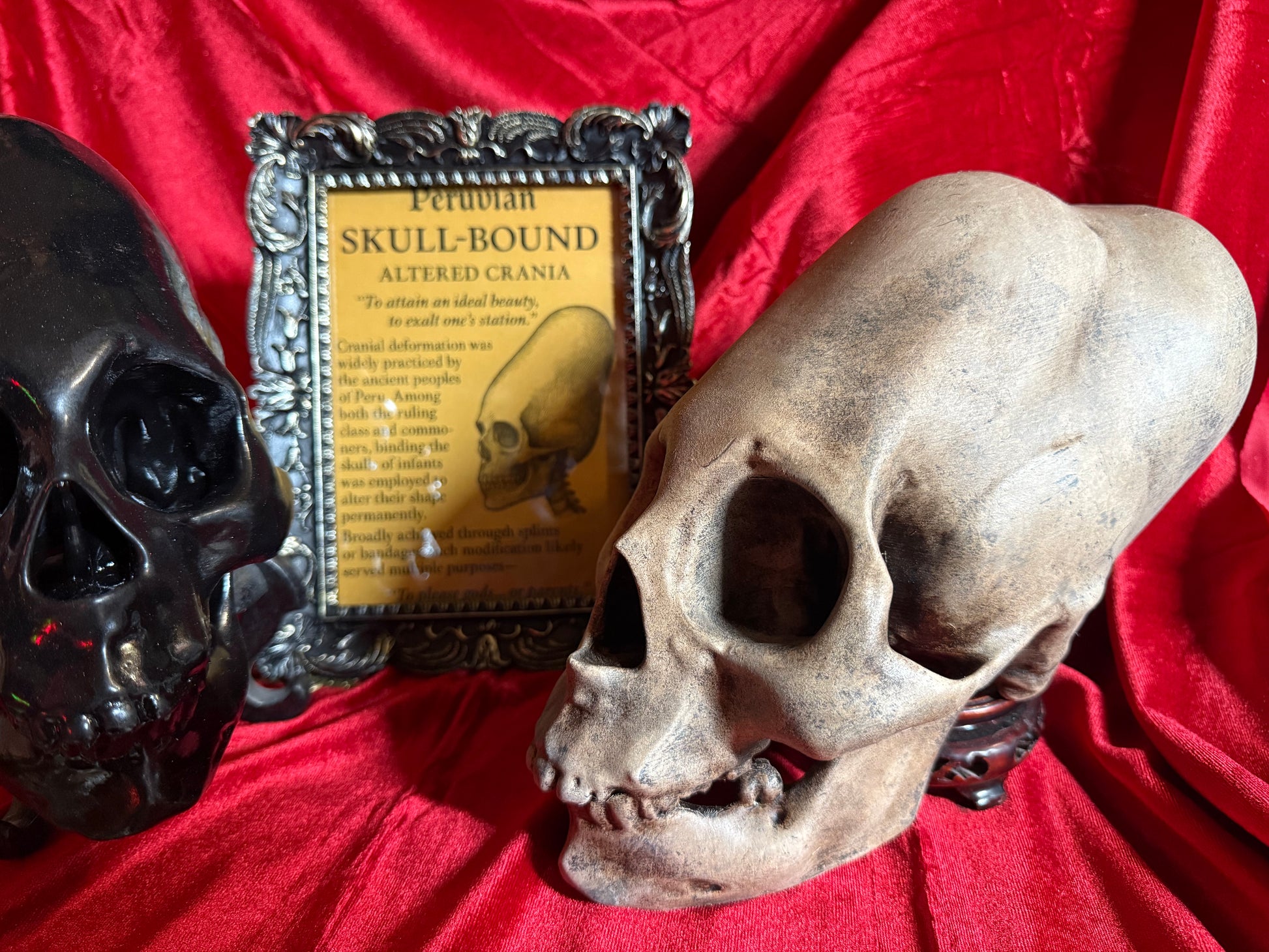 Peruvian skull replica