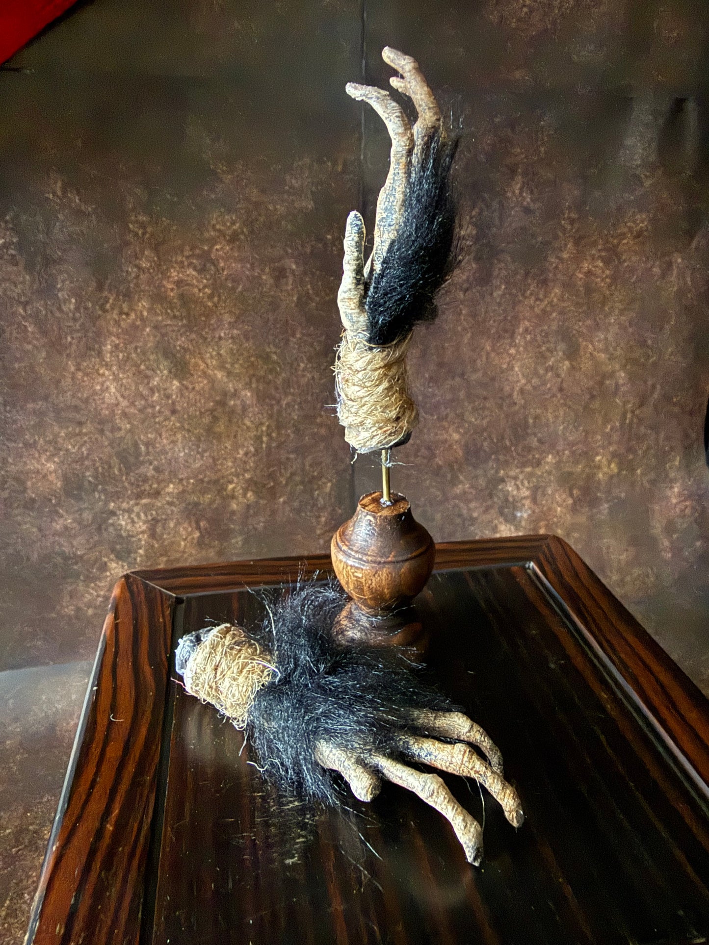 Cursed Monkey Paw for oddities & Curiosities cabinet Small