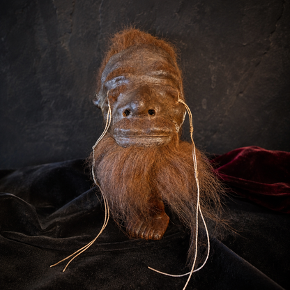 rust-haired and bearded alpaca hide shrunken head replica front view