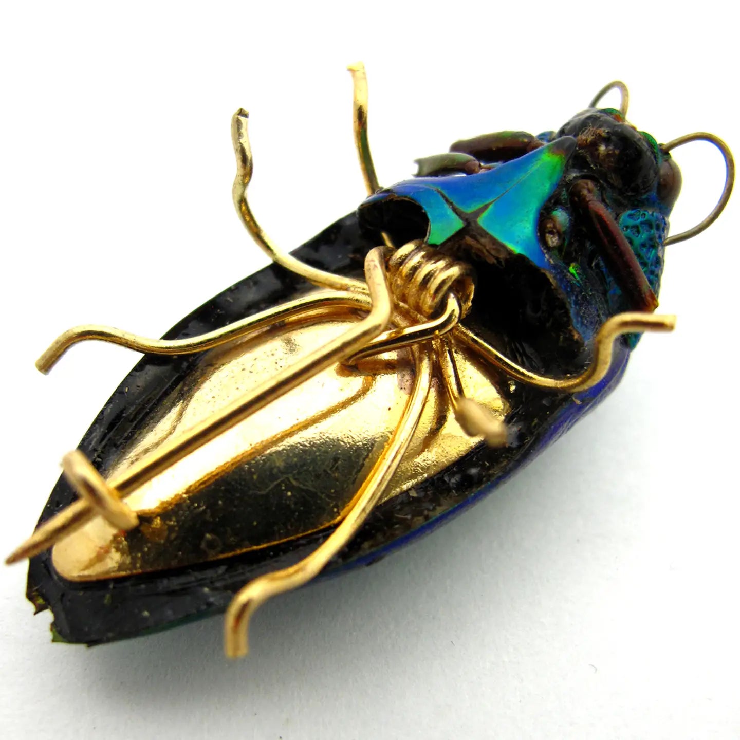 Real Emerald Beetle Pin