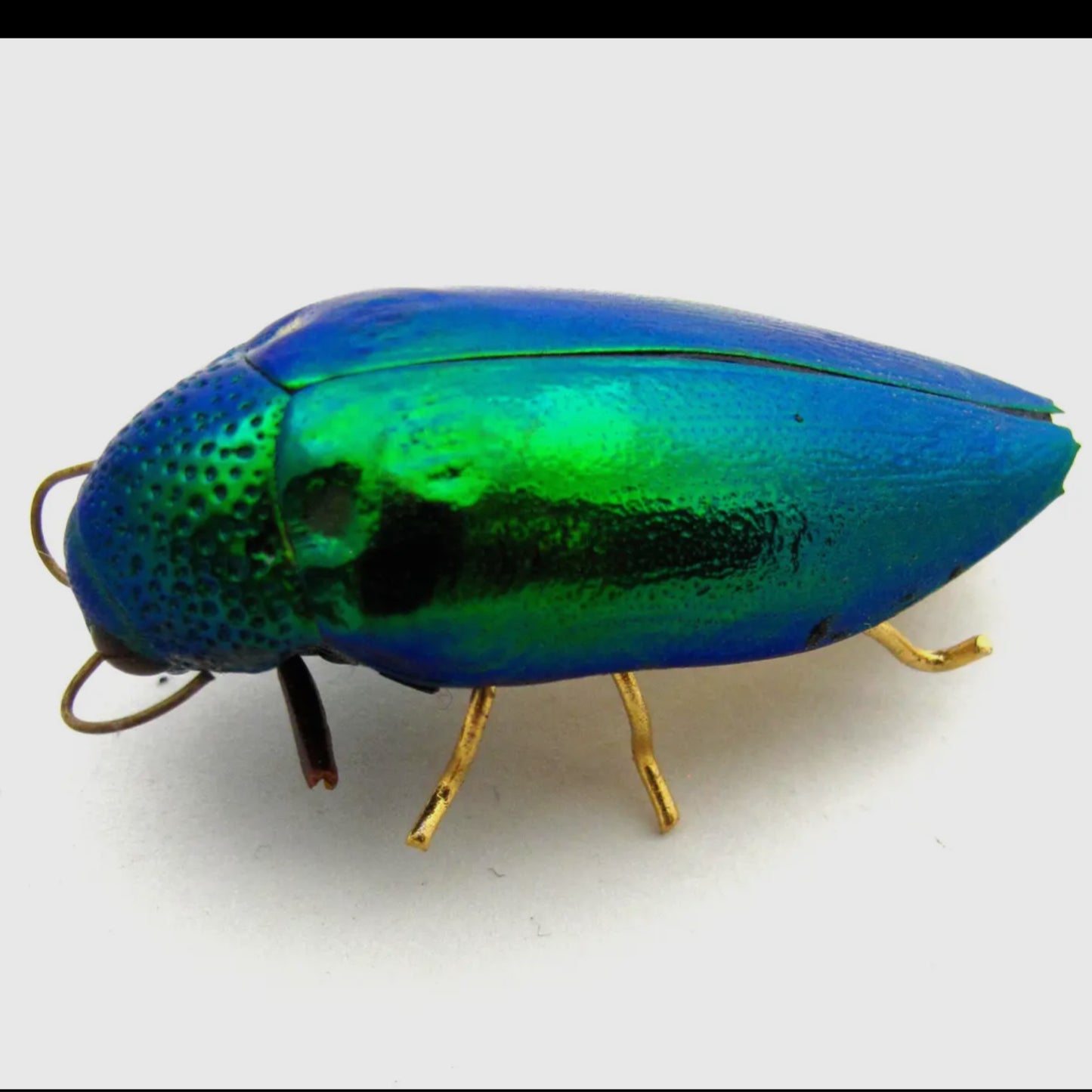 Real Emerald Beetle Pin