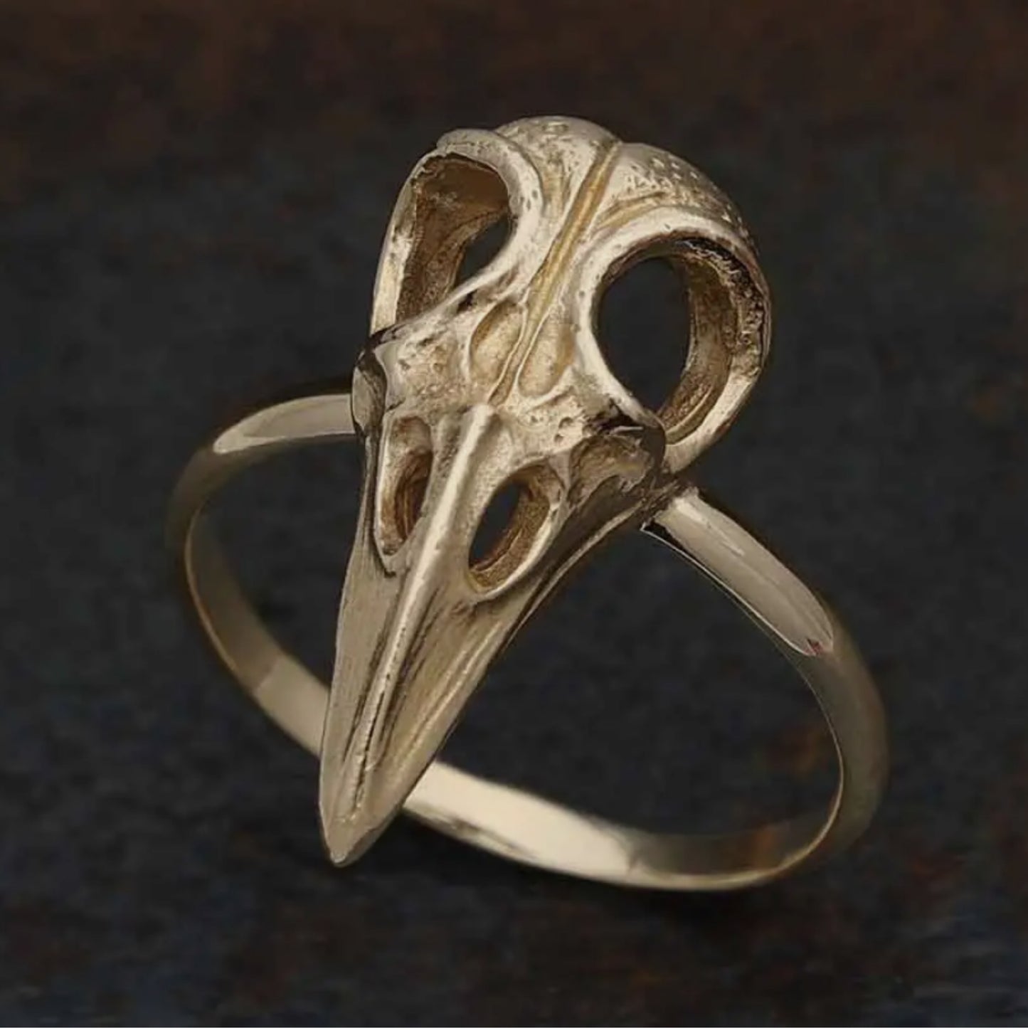 Raven Skull Ring